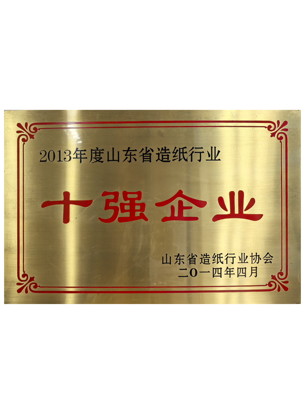 山东省造纸行业十强企业