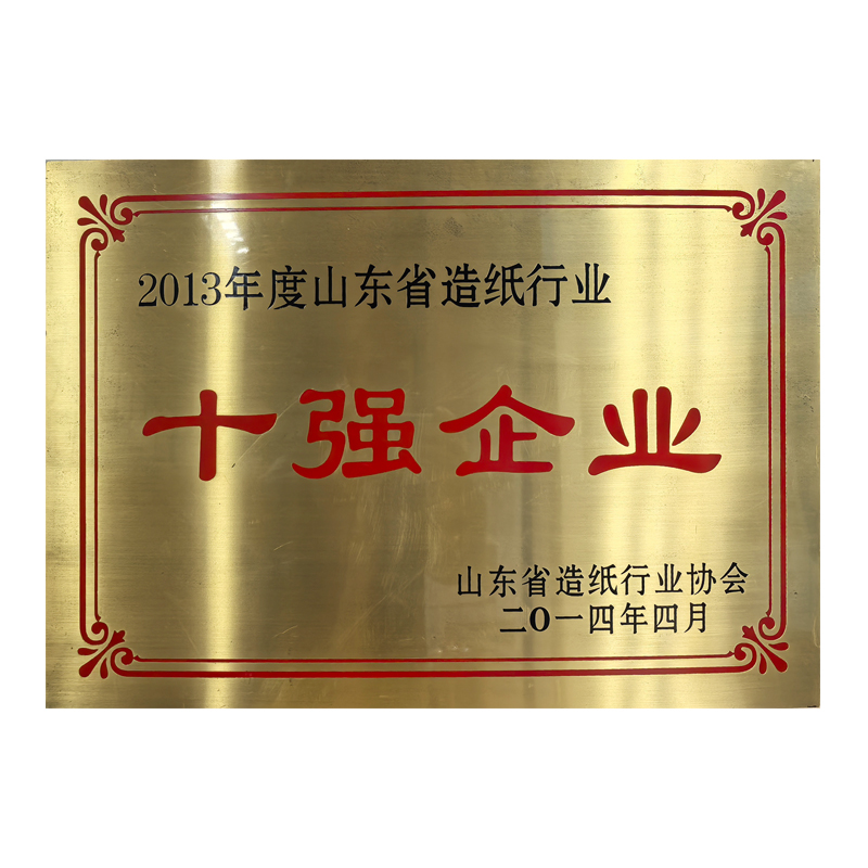山东省造纸行业10强企业