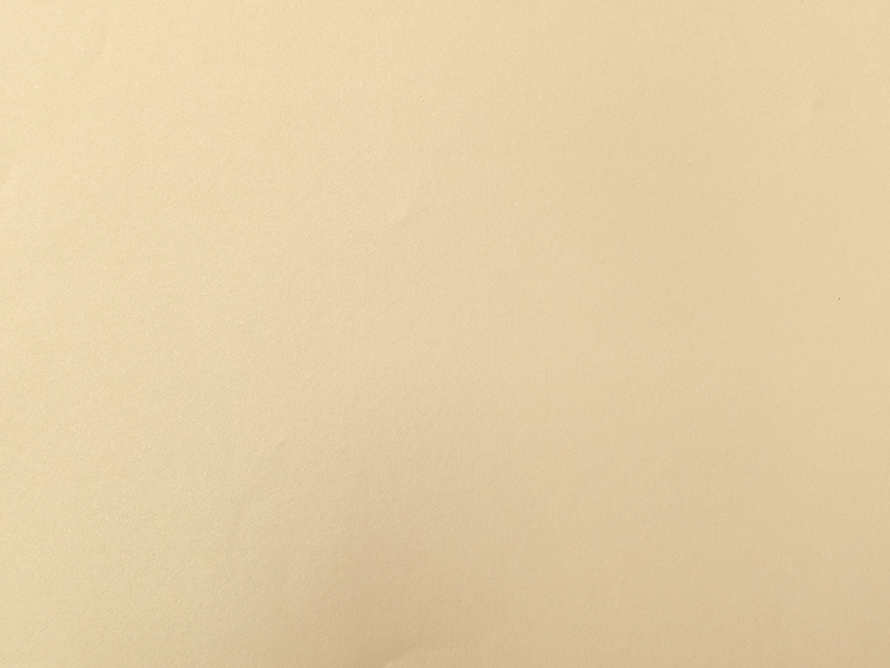 8109棕色印刷-5-85克