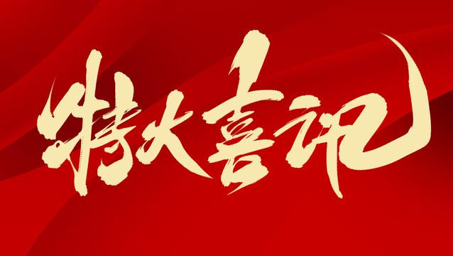 <strong>鲁南新材12万吨高档特种纸项目迎新进展</strong>