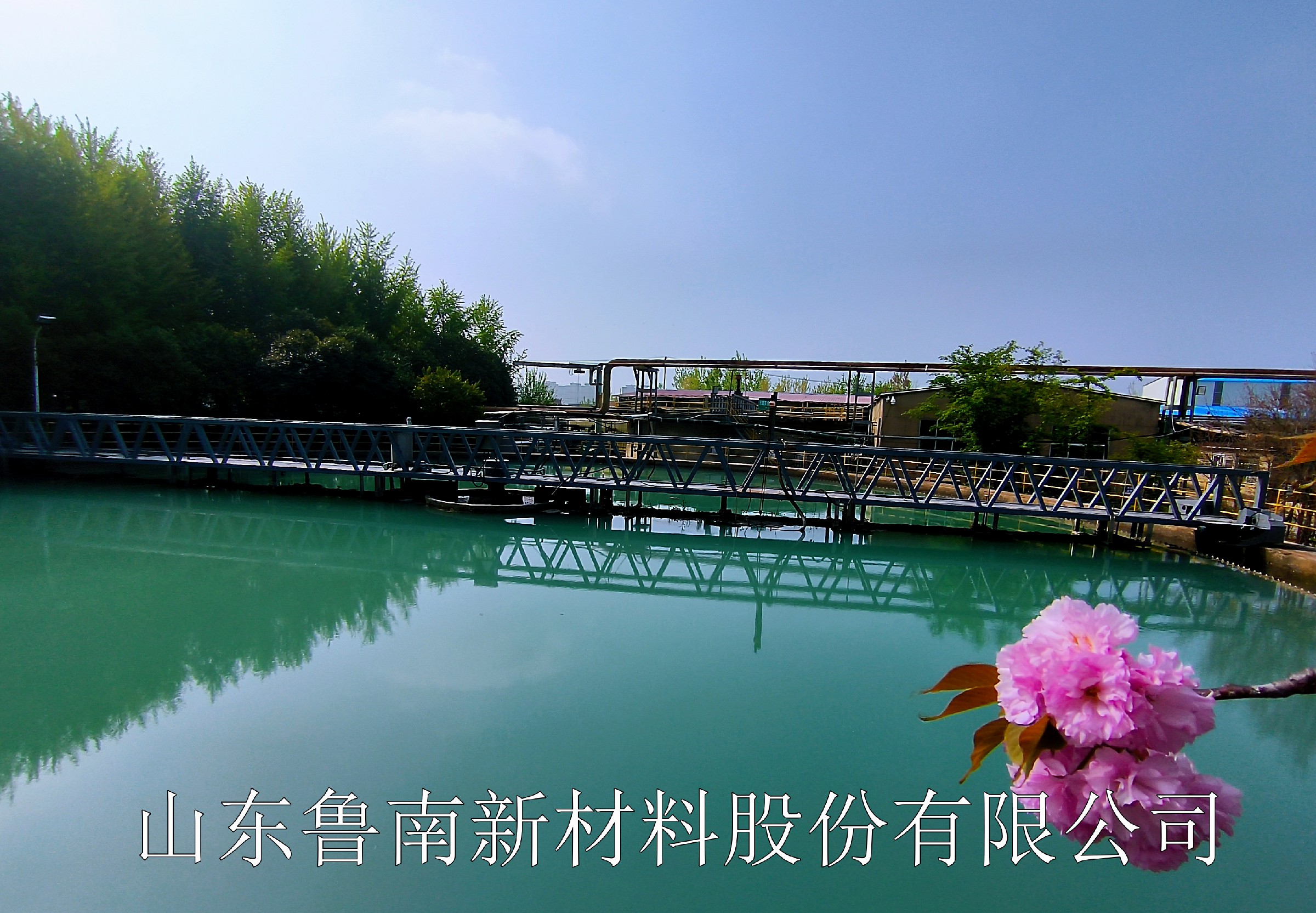 IMG_20260410_091333.jpg