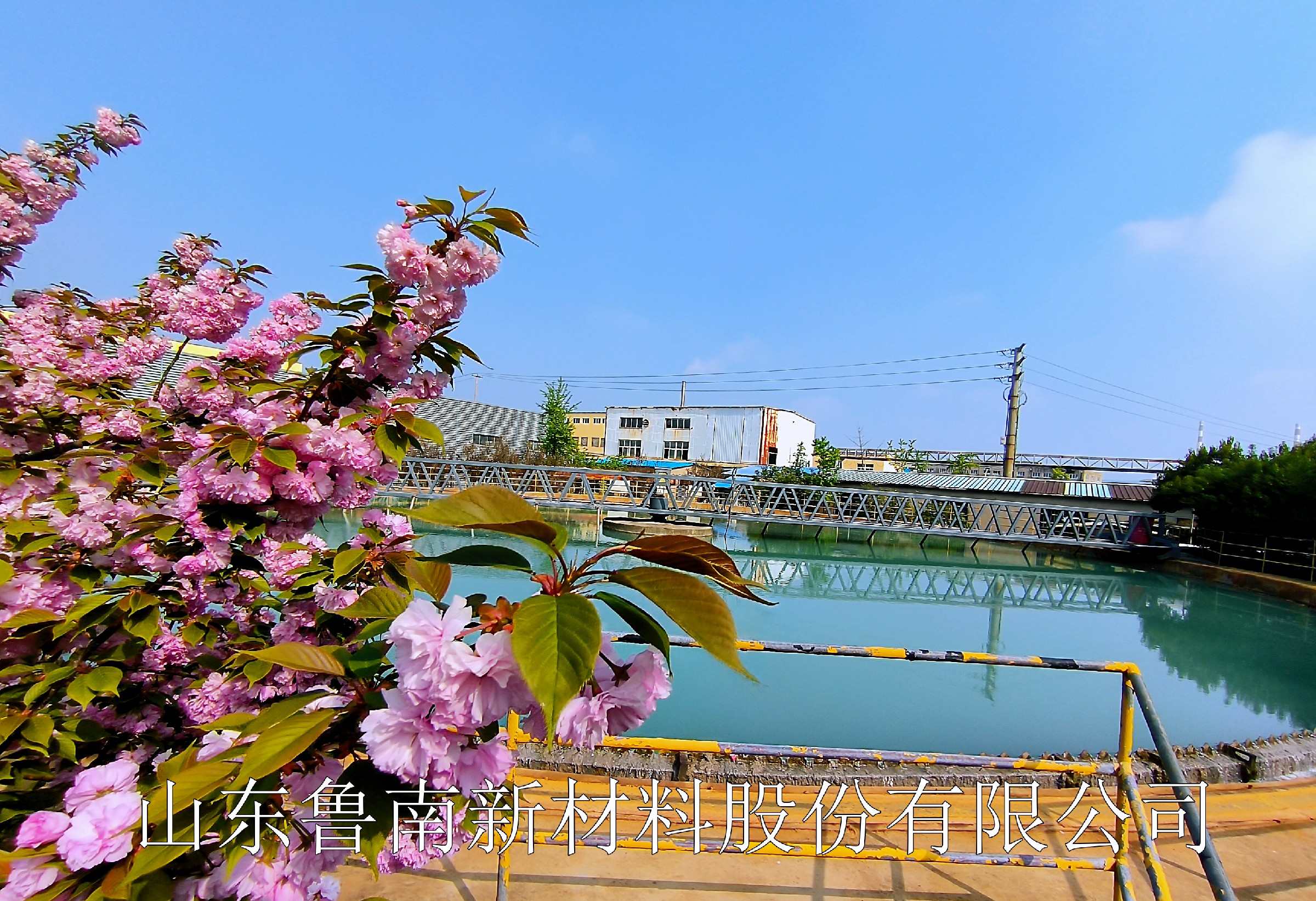 IMG_20260410_091458.jpg