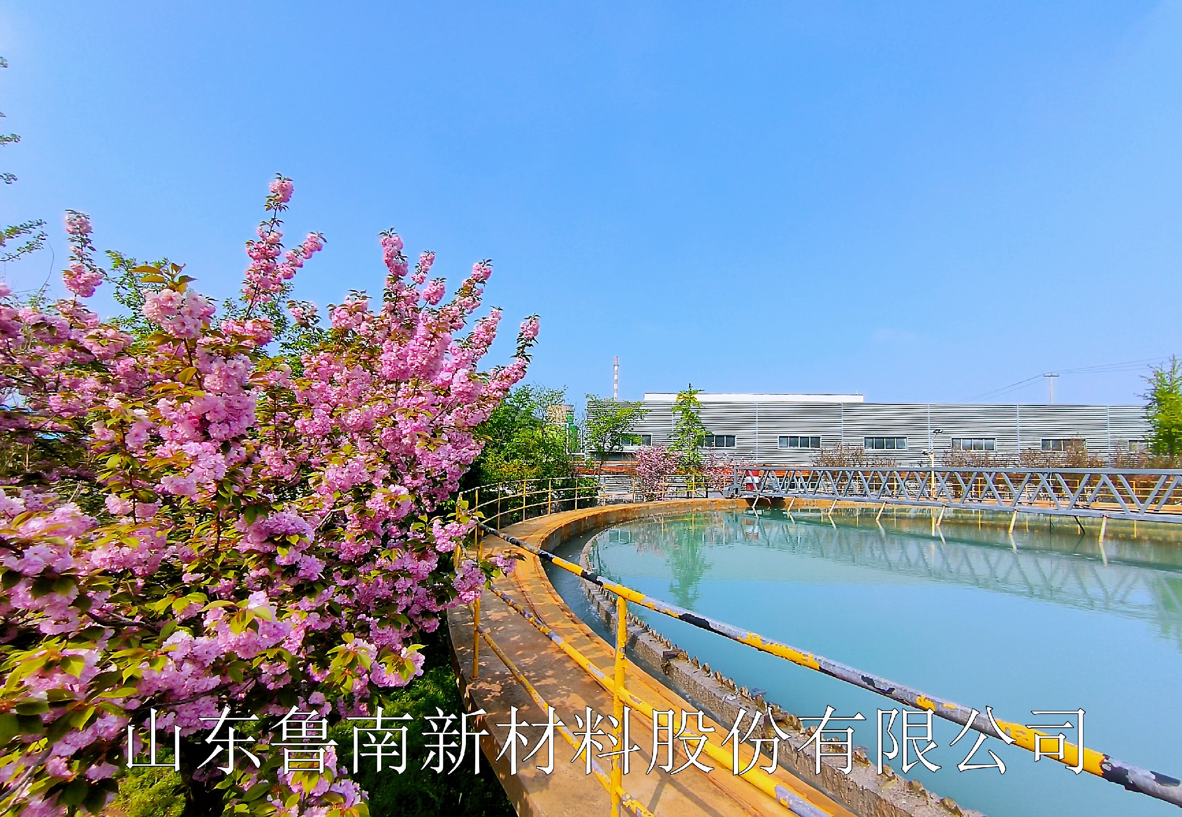 IMG_20260410_091519.jpg